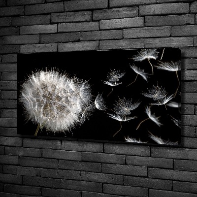 Foto obraz canvas Dmuchawiec