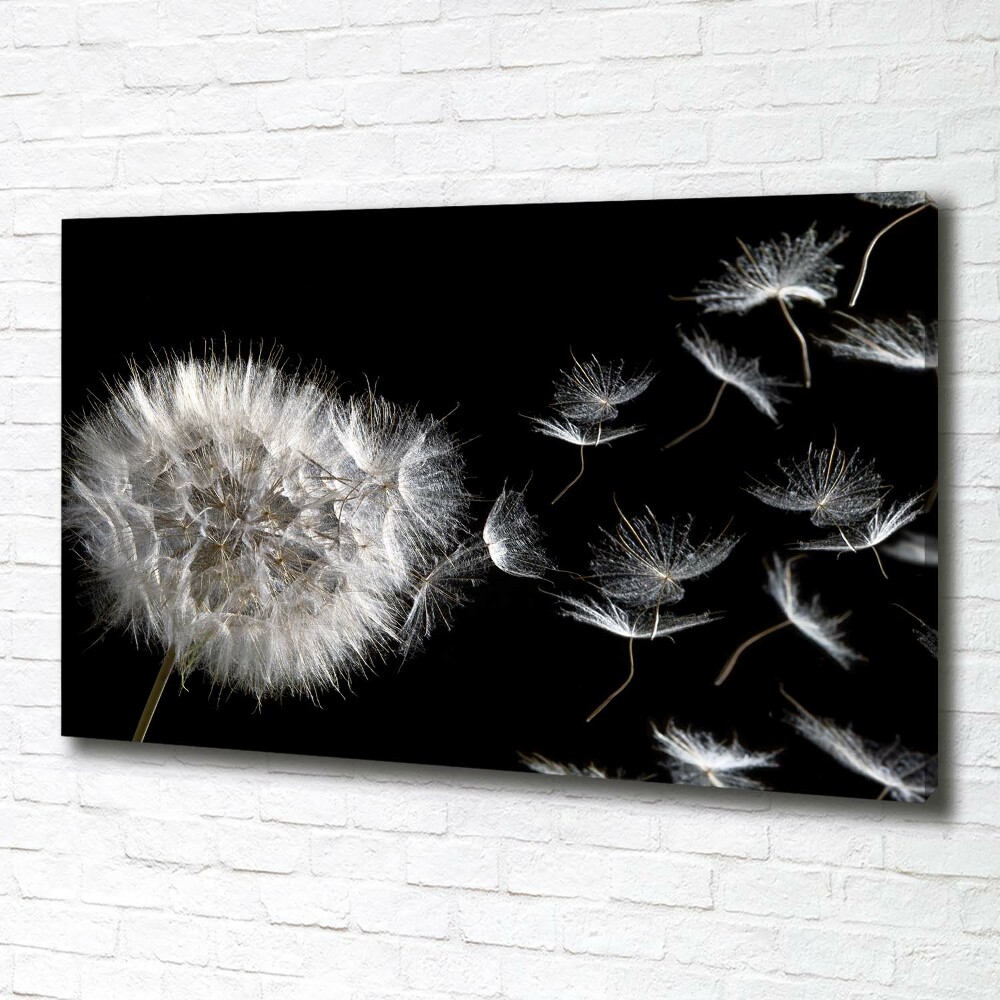 Foto obraz canvas Dmuchawiec