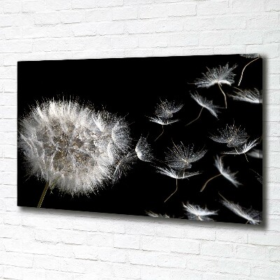 Foto obraz canvas Dmuchawiec