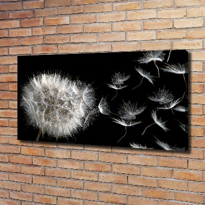 Foto obraz canvas Dmuchawiec