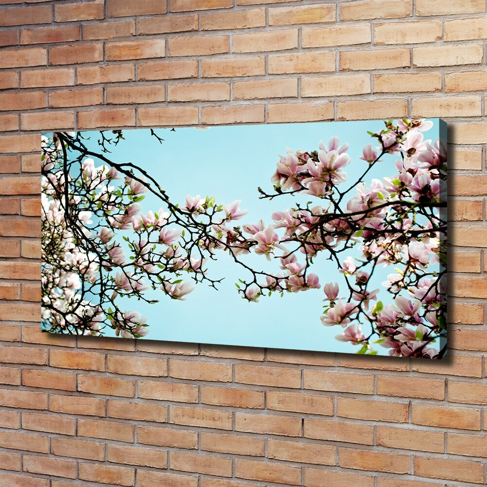 Foto obraz na płótnie Kwiaty magnolii