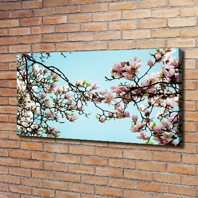 Foto obraz na płótnie Kwiaty magnolii