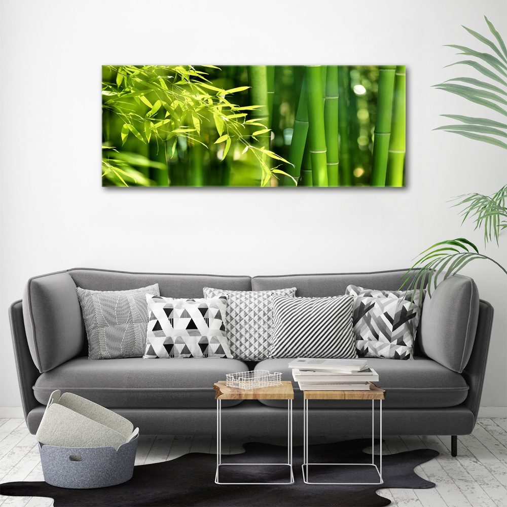 Duży foto obraz na ścianę canvas Bambus
