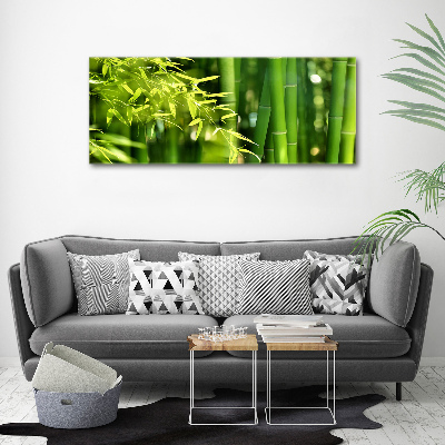Duży foto obraz na ścianę canvas Bambus