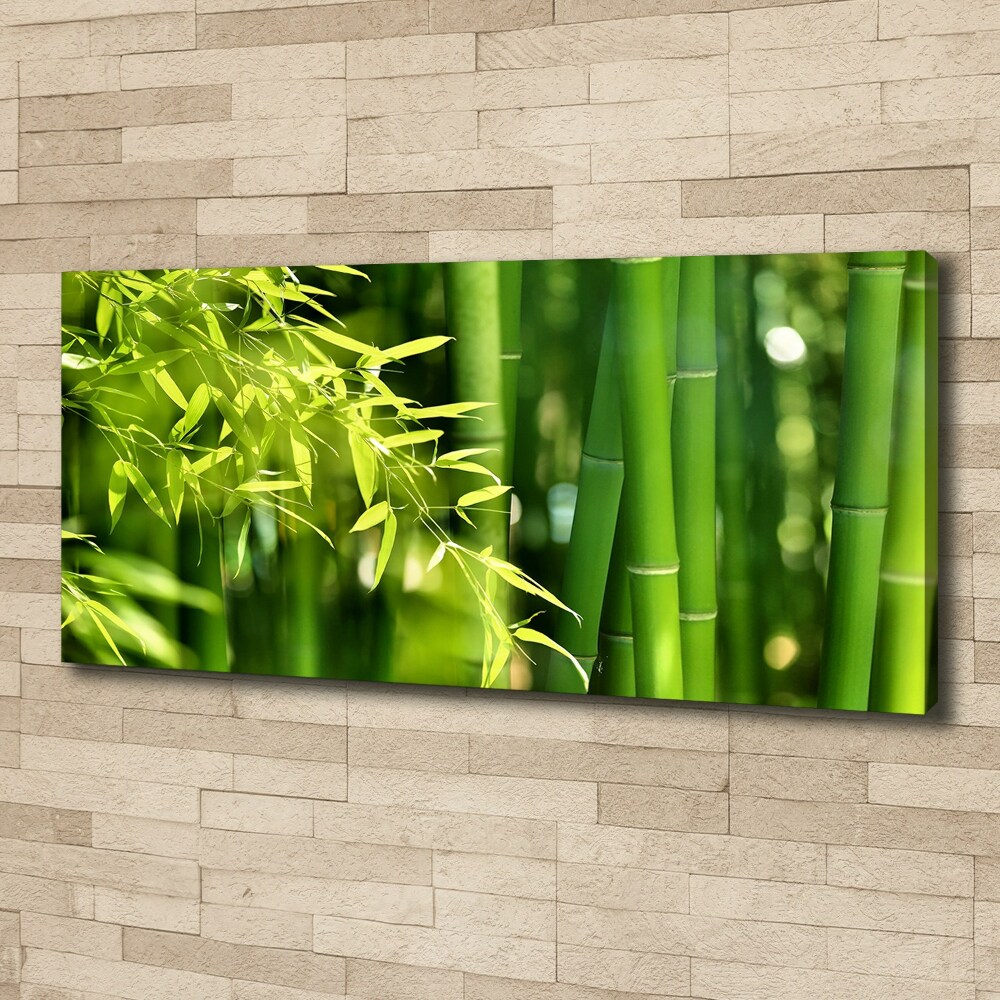 Duży foto obraz na ścianę canvas Bambus