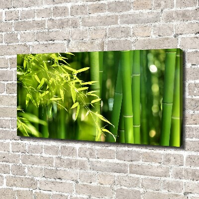 Duży foto obraz na ścianę canvas Bambus