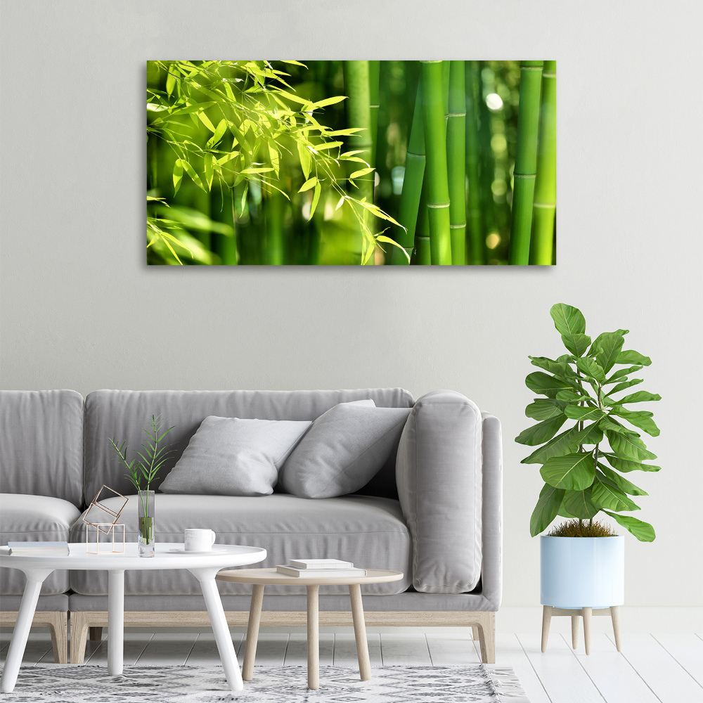 Duży foto obraz na ścianę canvas Bambus
