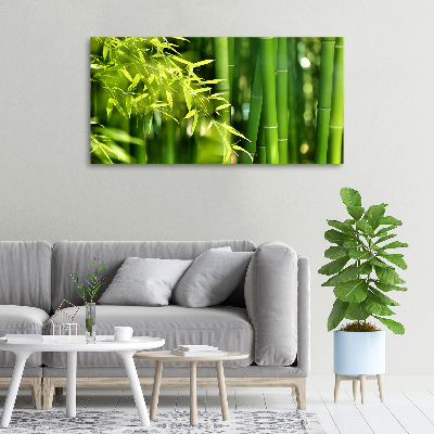 Duży foto obraz na ścianę canvas Bambus