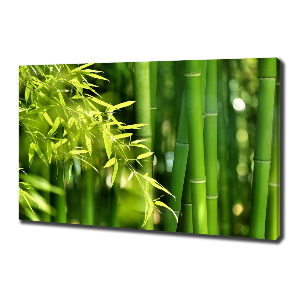 Duży foto obraz na ścianę canvas Bambus