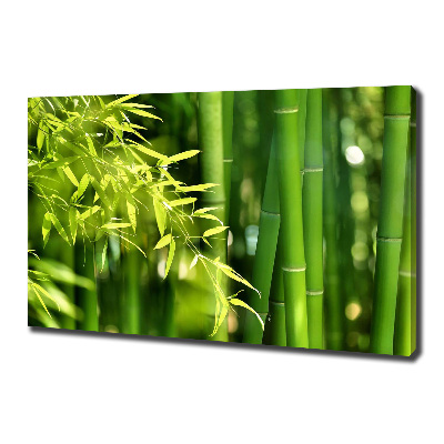 Duży foto obraz na ścianę canvas Bambus