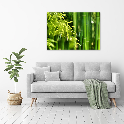 Duży foto obraz na ścianę canvas Bambus