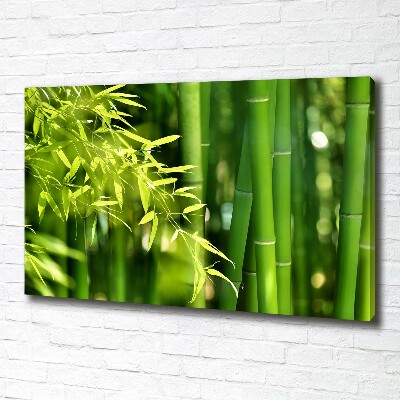 Duży foto obraz na ścianę canvas Bambus