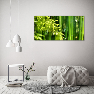 Duży foto obraz na ścianę canvas Bambus