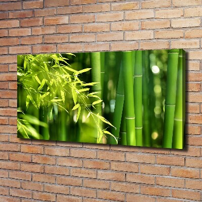 Duży foto obraz na ścianę canvas Bambus