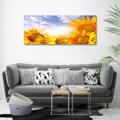 Foto obraz canvas Słoneczniki