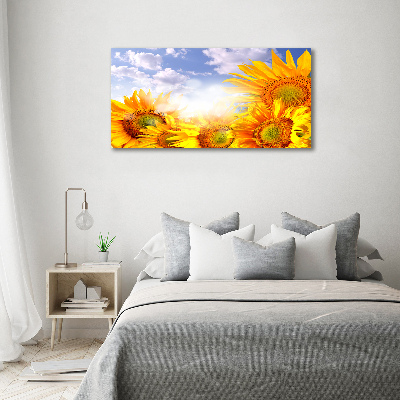 Foto obraz canvas Słoneczniki