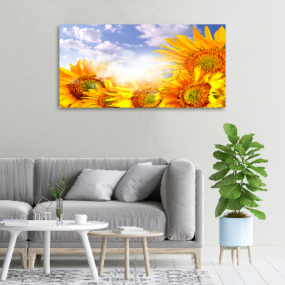 Foto obraz canvas Słoneczniki
