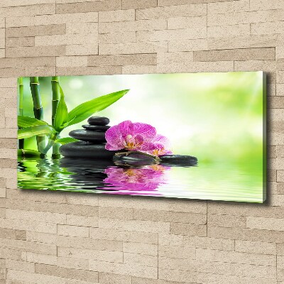 Foto obraz canvas Orchidea