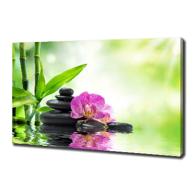 Foto obraz canvas Orchidea