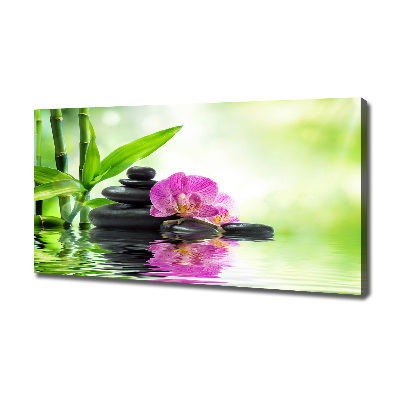 Foto obraz canvas Orchidea
