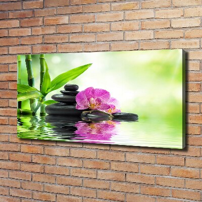Foto obraz canvas Orchidea