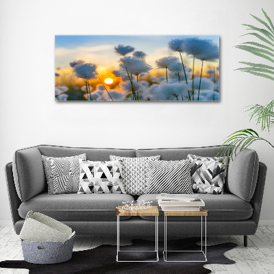 Foto obraz canvas Wełnianka