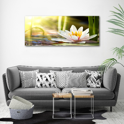 Foto obraz canvas Lilia wodna
