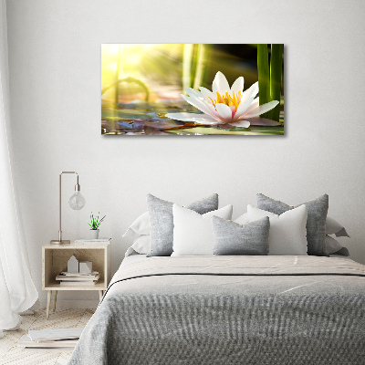 Foto obraz canvas Lilia wodna