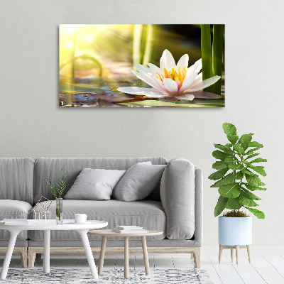 Foto obraz canvas Lilia wodna