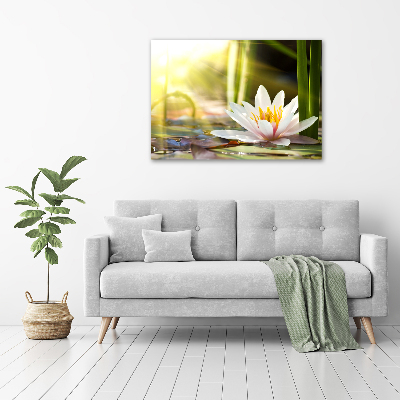 Foto obraz canvas Lilia wodna