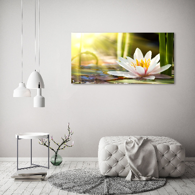 Foto obraz canvas Lilia wodna