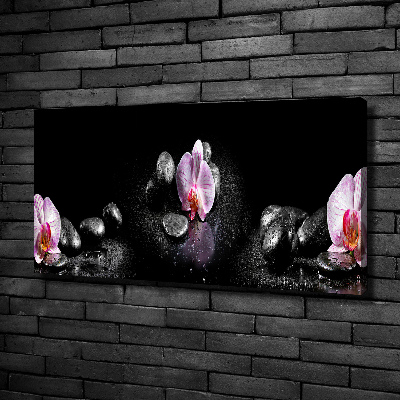 Foto obraz canvas Orchidea