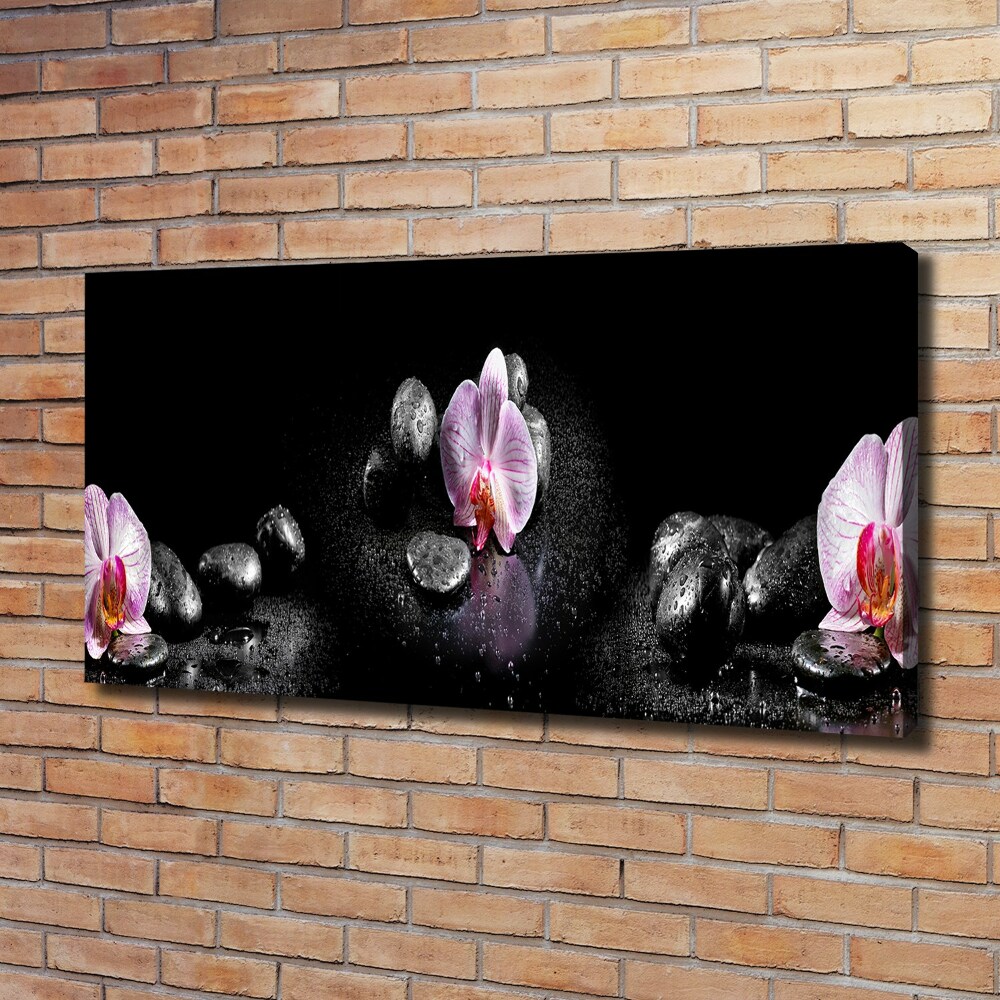 Foto obraz canvas Orchidea