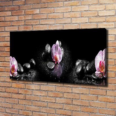 Foto obraz canvas Orchidea