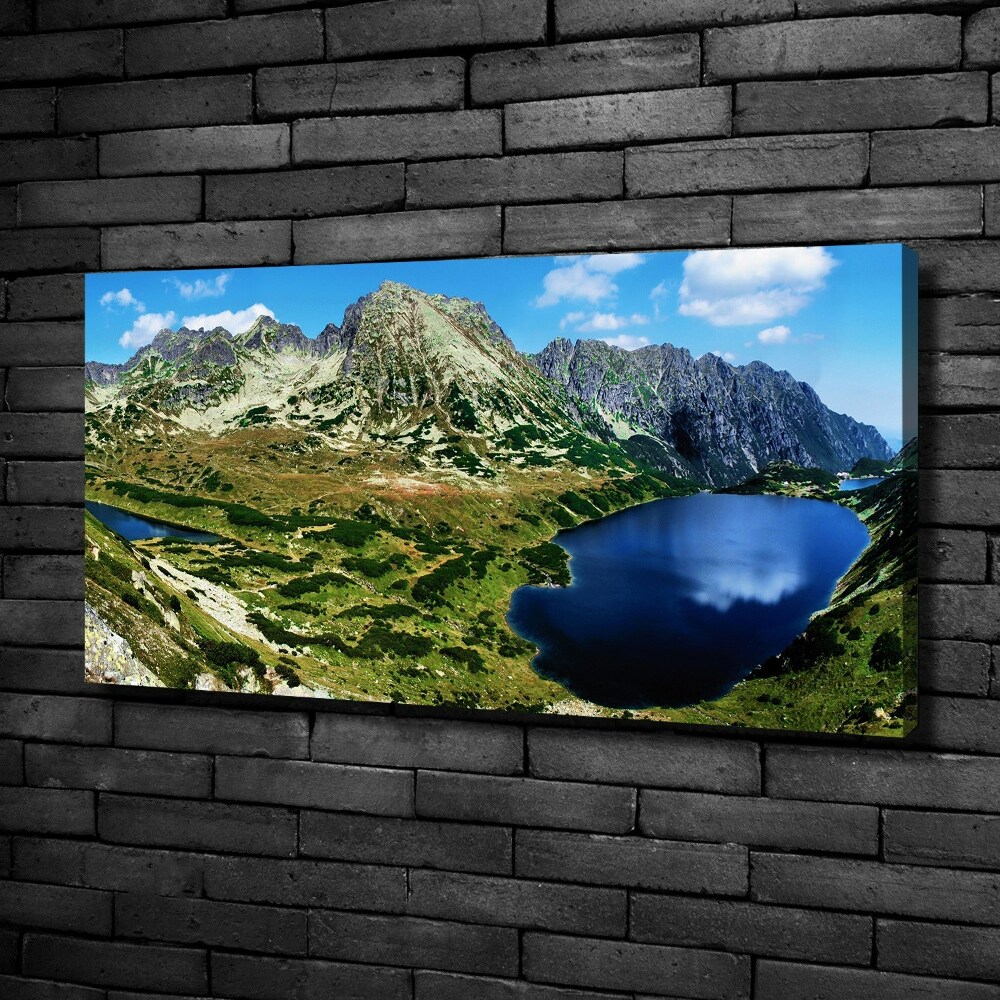 Foto obraz na płótnie Dolina w górach