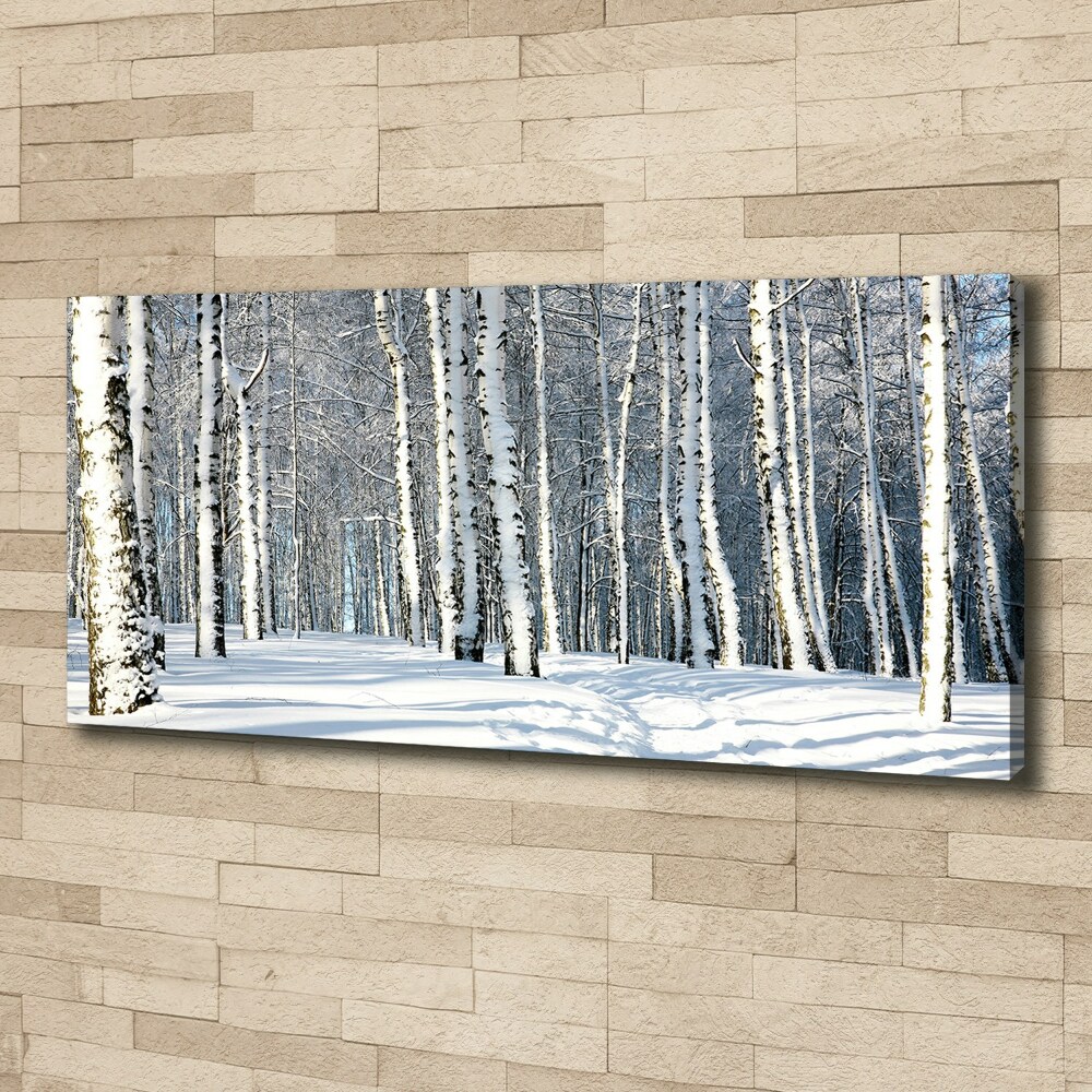 Foto obraz canvas Las zimą