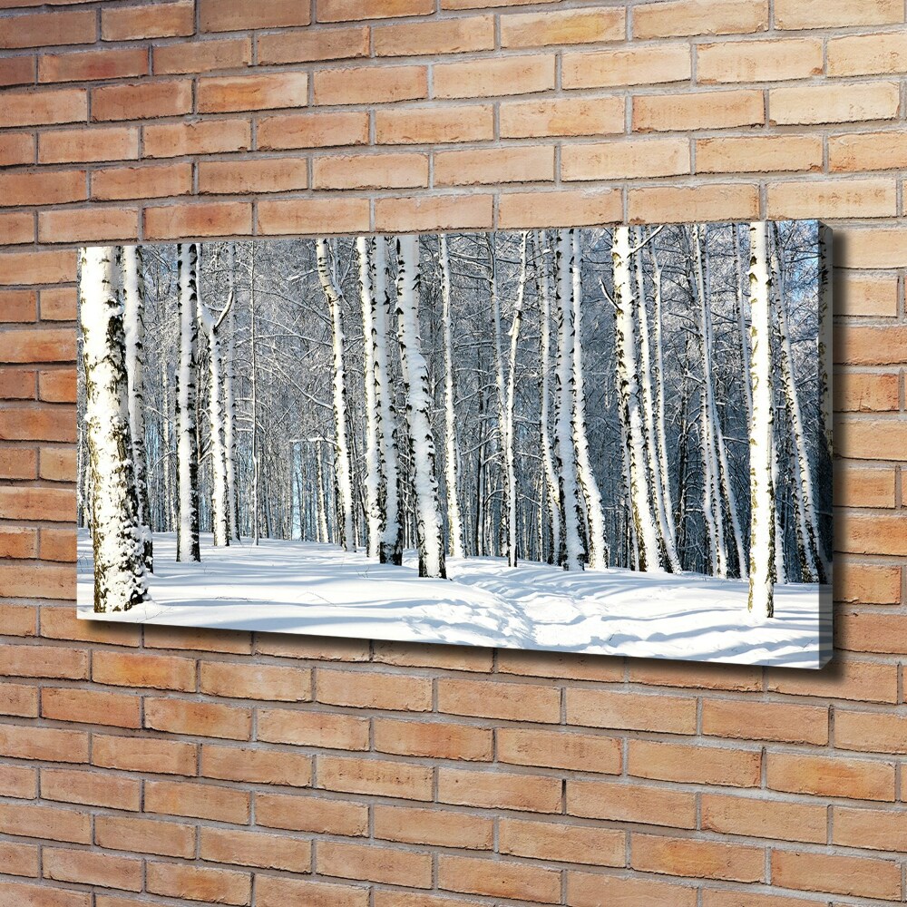 Foto obraz canvas Las zimą