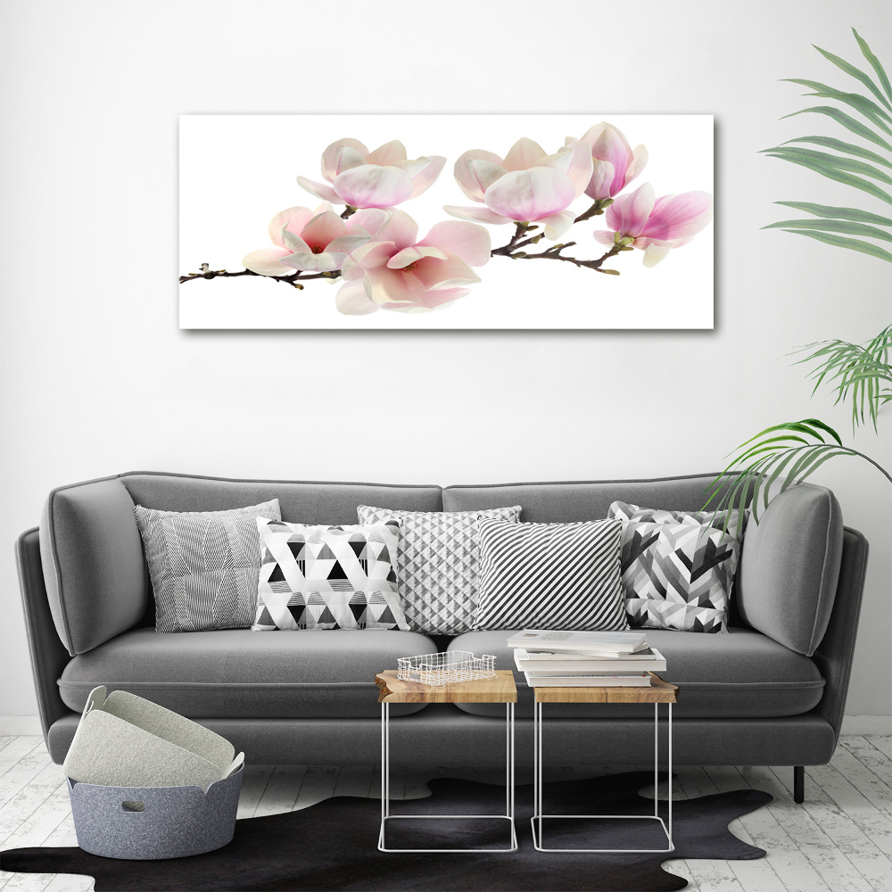 Foto obraz canvas Magnolia
