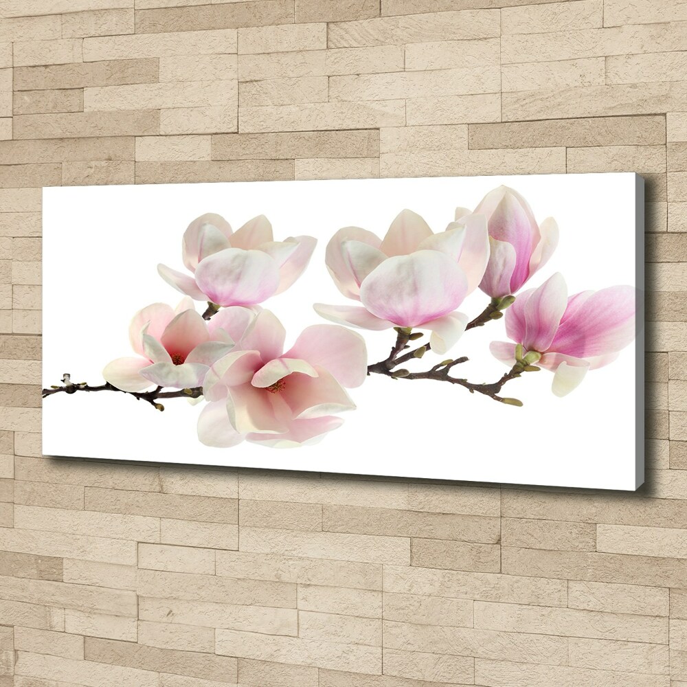 Foto obraz canvas Magnolia