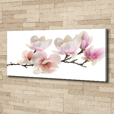 Foto obraz canvas Magnolia