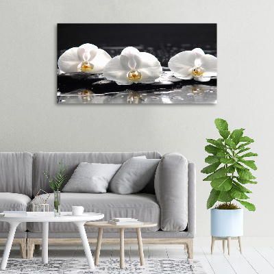 Foto obraz canvas Orchidea