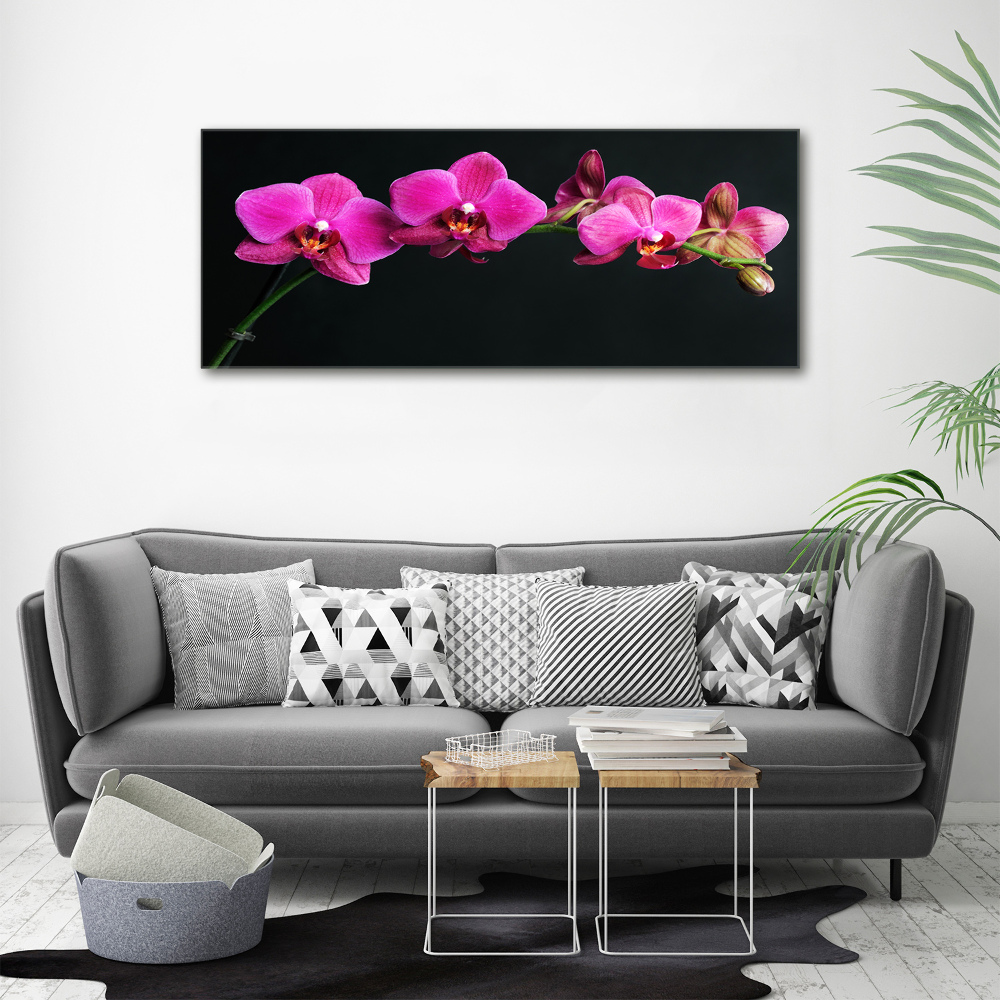 Foto obraz canvas Orchidea