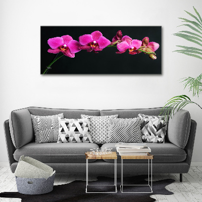 Foto obraz canvas Orchidea