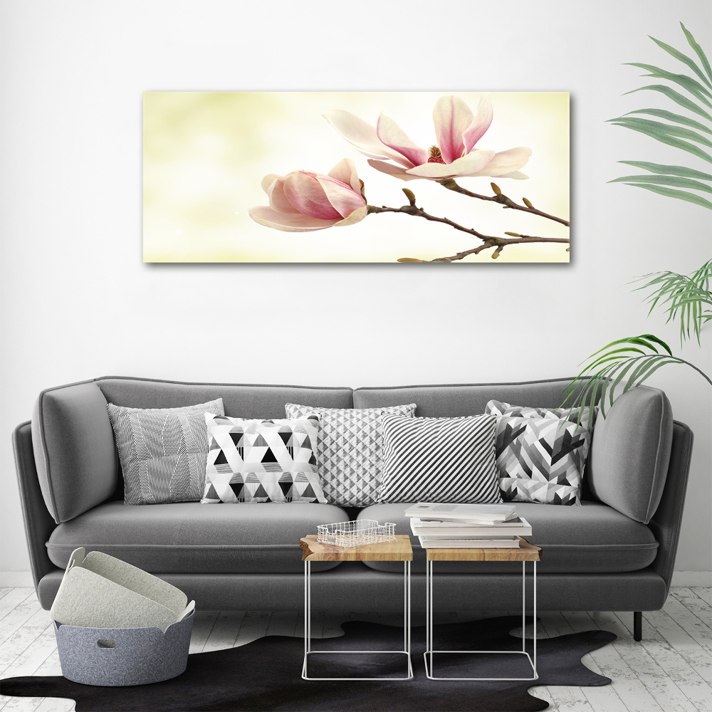 Foto obraz canvas Magnolia