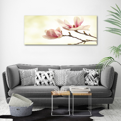 Foto obraz canvas Magnolia