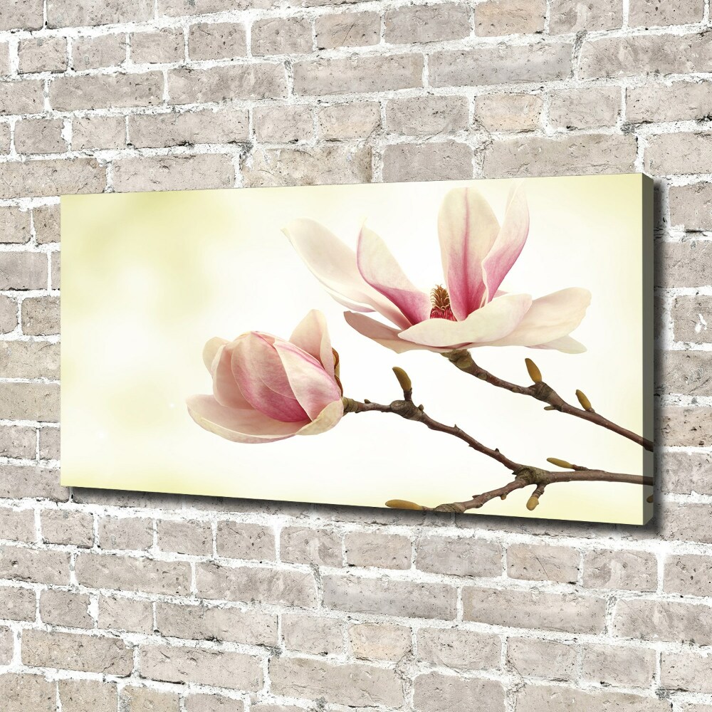 Foto obraz canvas Magnolia