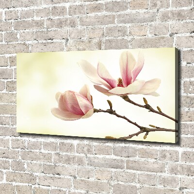Foto obraz canvas Magnolia