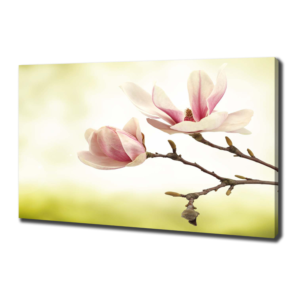 Foto obraz canvas Magnolia