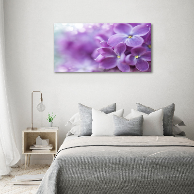 Foto obraz canvas Kwiaty bzu