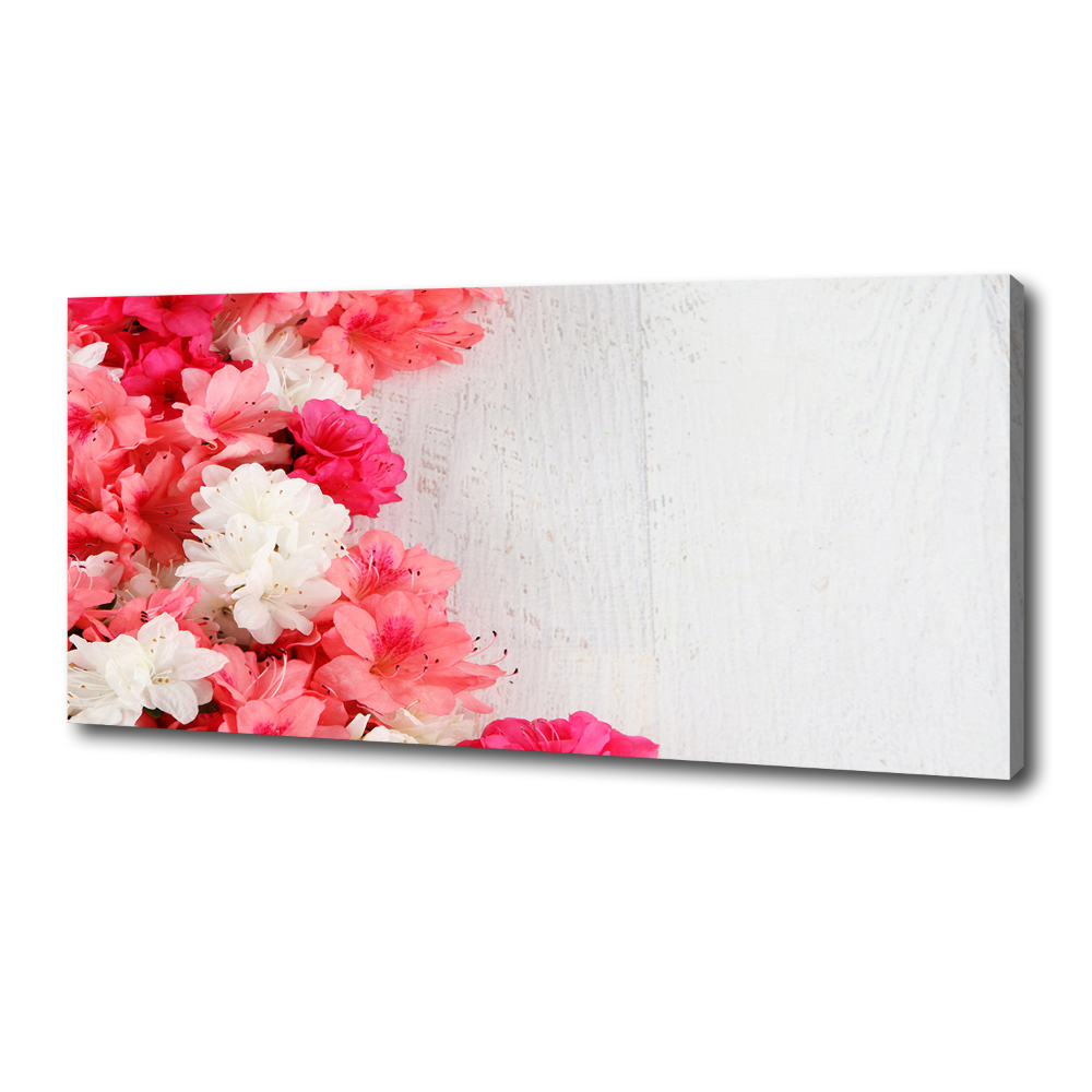 Duży foto obraz na ścianę canvas Kwiaty